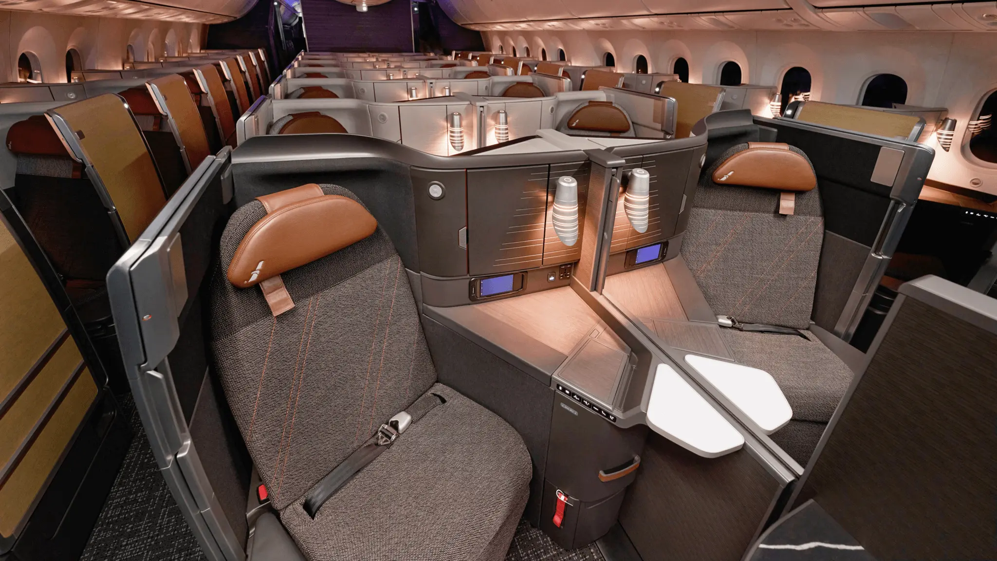 American Airlines business class cabin